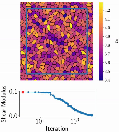 Tissue tuning its own rigidity through target shape factors